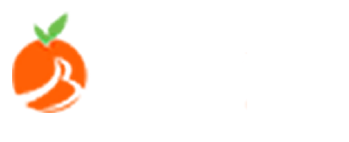 杭州网站制作-杭州网站建设-百度SEM服务商公司-百橙网络